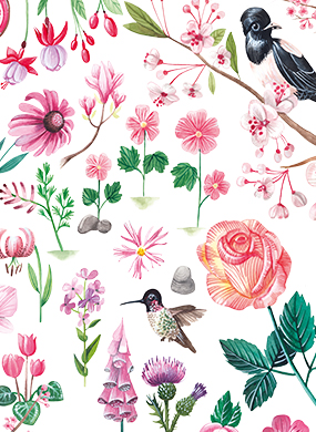 Los colores de la naturaleza